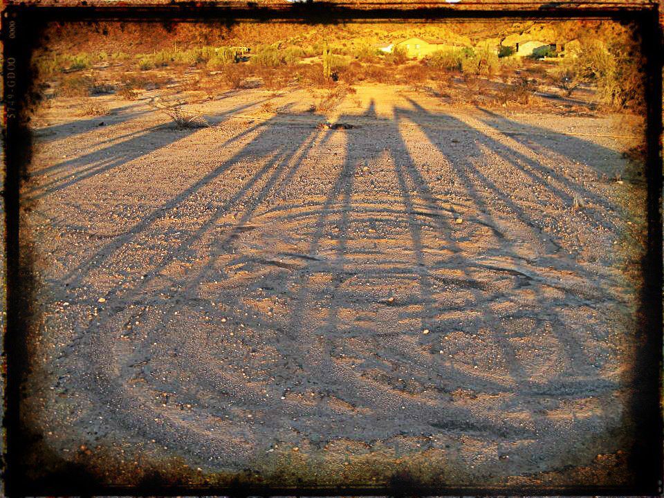 Arizona Horse Ride at Sunset